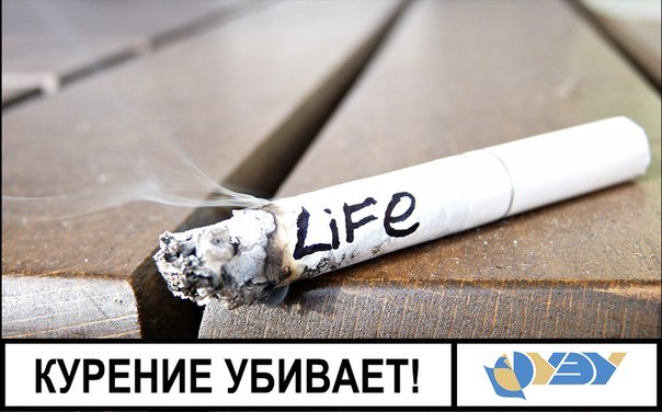 ����� ������ �������: ������-������� �������