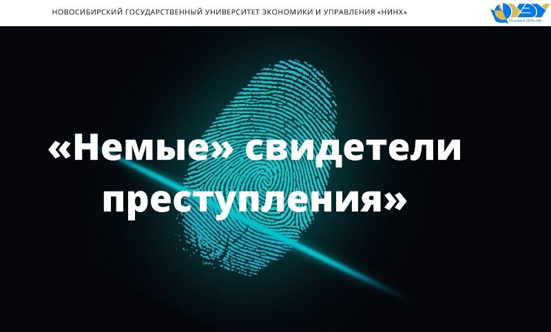 23445.jpg 23445.jpg