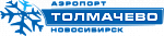 Открытая мастер-лекция «Инфраструктура воздействия на региональный туризм: возможности хаба Толмачево»