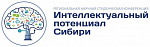 РНСК 2024 "Интеллектуальный потенциал Сибири", секция "Актуальные проблемы учета, анализа, аудита"